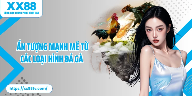 Ấn tượng mạnh mẽ từ các loại hình đá gà 